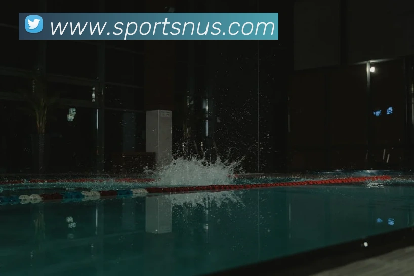 体育下注APP 封面图